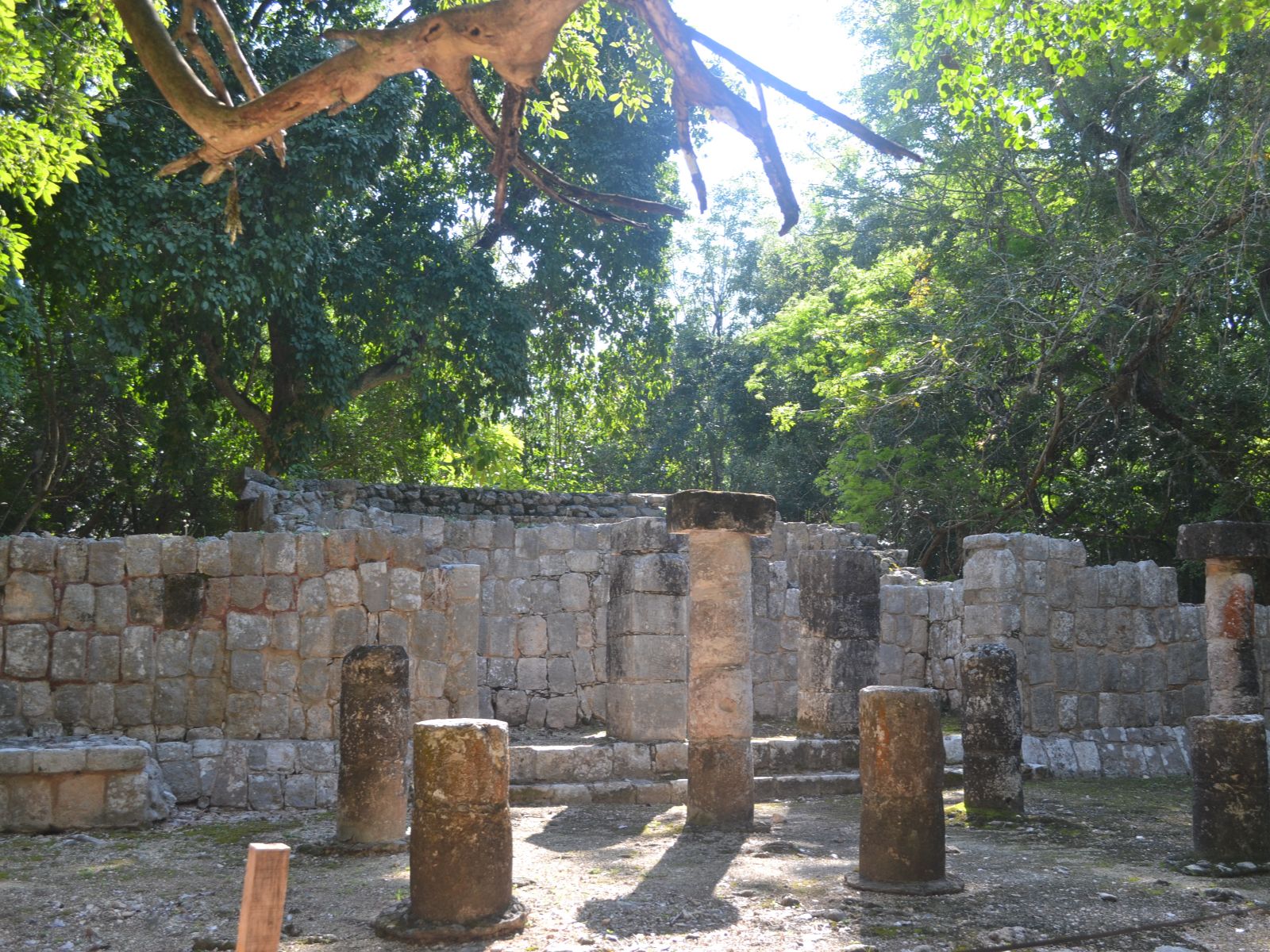 Rondreis Mexico, Chichén Itzá, tempel in jungle