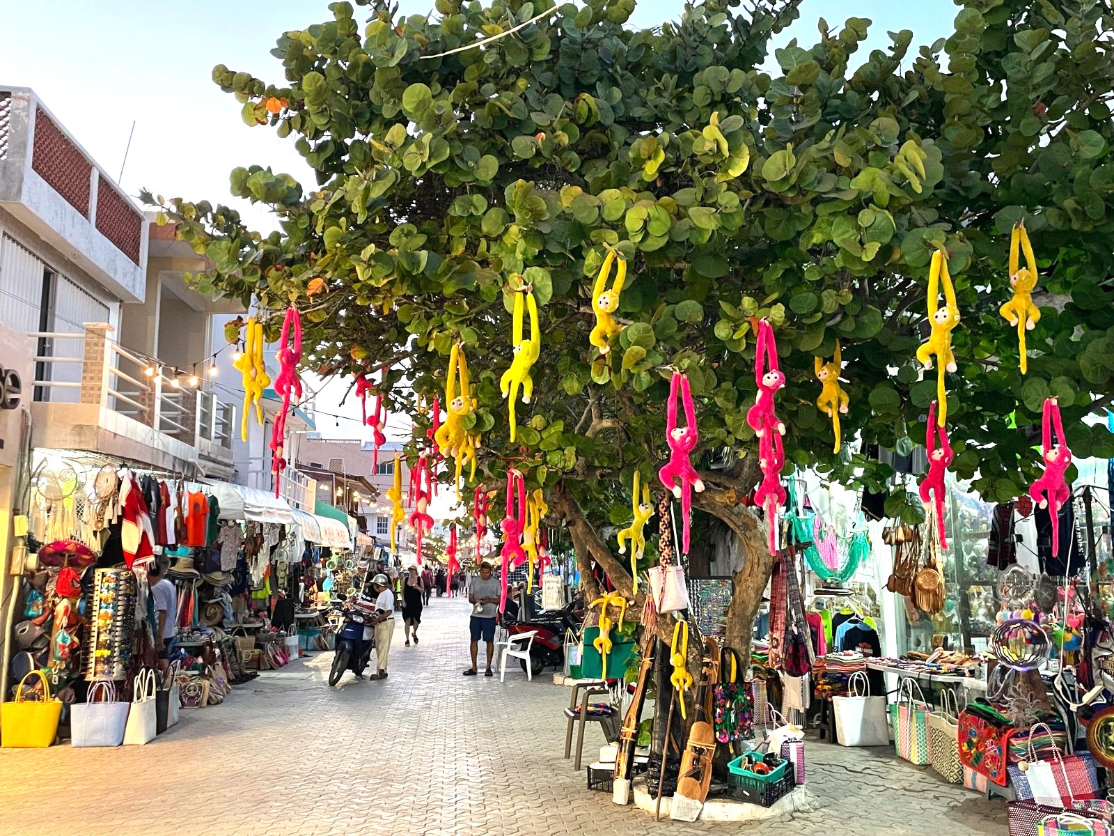 Rondreis Mexico, Isla Mujeres, winkeltjes