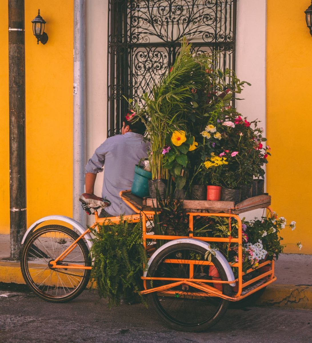 Rondreis Mexico, Mérida, bloemenkar