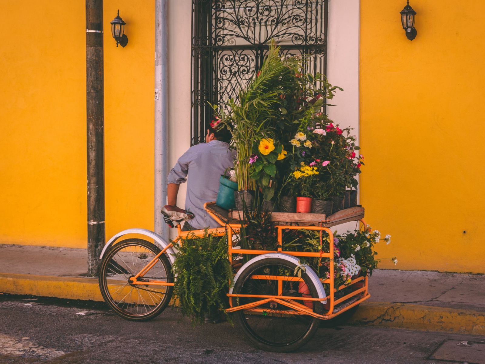 Rondreis Mexico, Mérida, bloemenkar