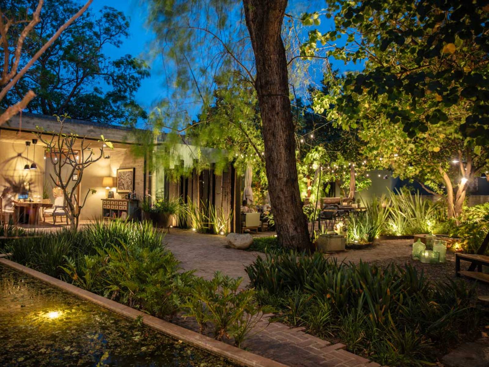 Rondreis Mexico, Oaxaca, El Callejon, hotel buitenzijde bomen