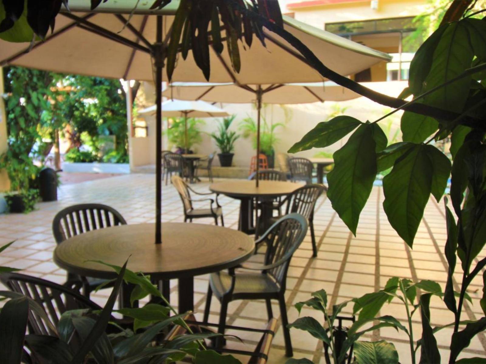 Rondreis Mexico, Palenque, Maya Tulipanes, restaurant