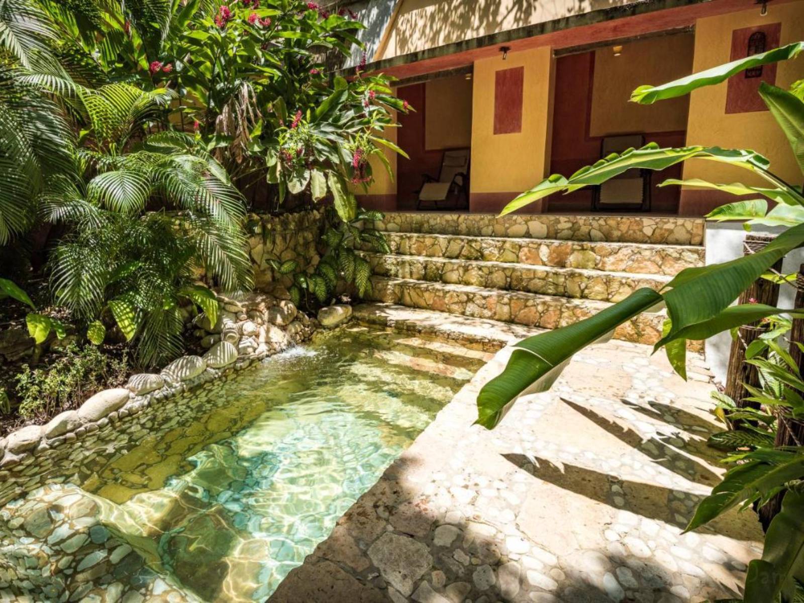 Rondreis Mexico, Palenque, Quinta Chanabnal, zwembad planten