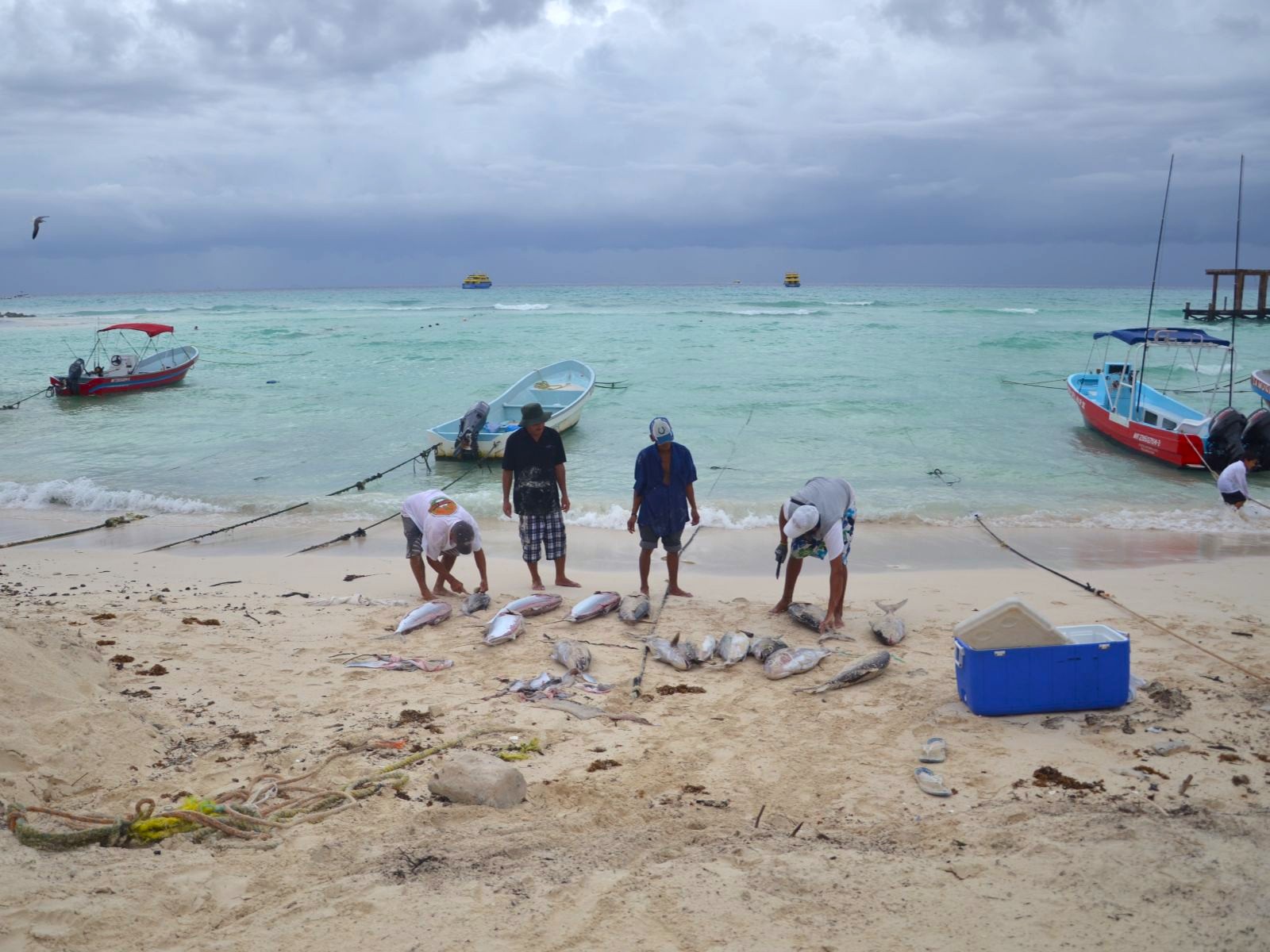 Rondreis Mexico, Playa Del Carmen, vissers met vis op strand