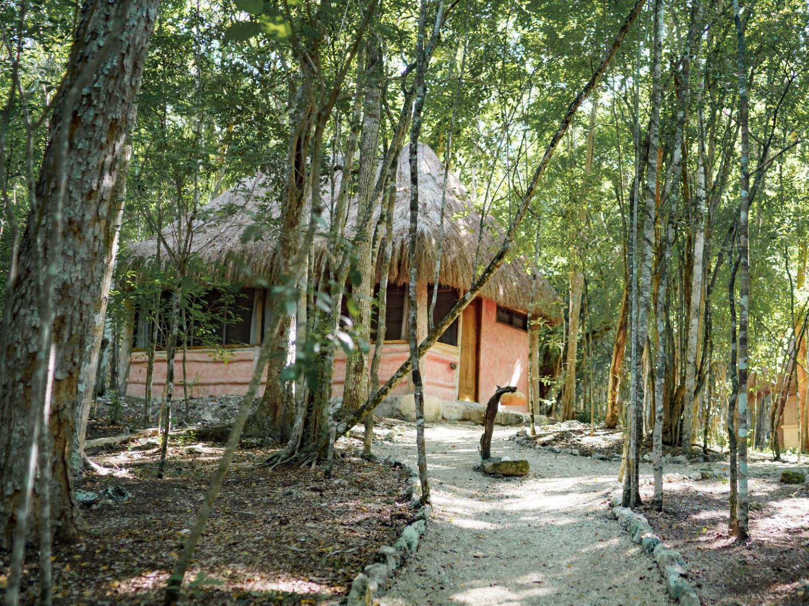 Rondreis Mexico, Xpujil, Puerto Calakmul, houten cabañas buitenzijde