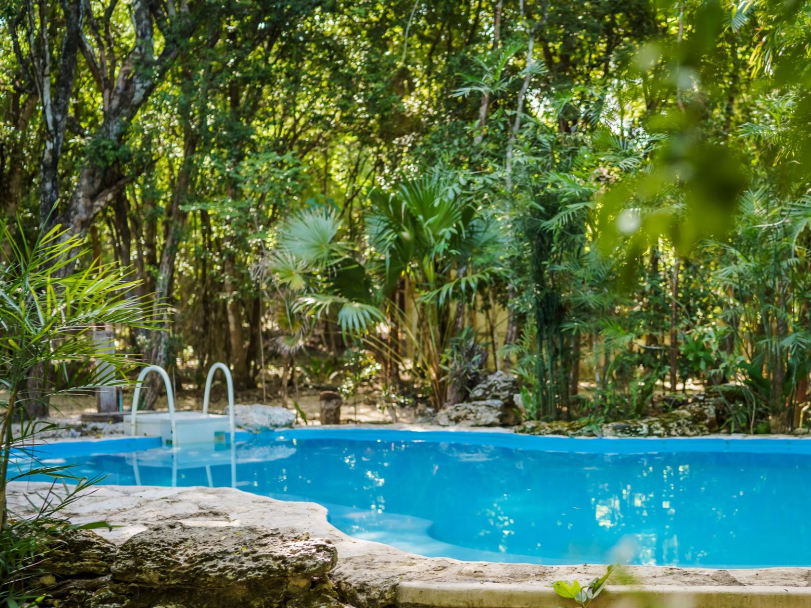 Rondreis Mexico, Xpujil, Puerto Calakmul, zwembad 2