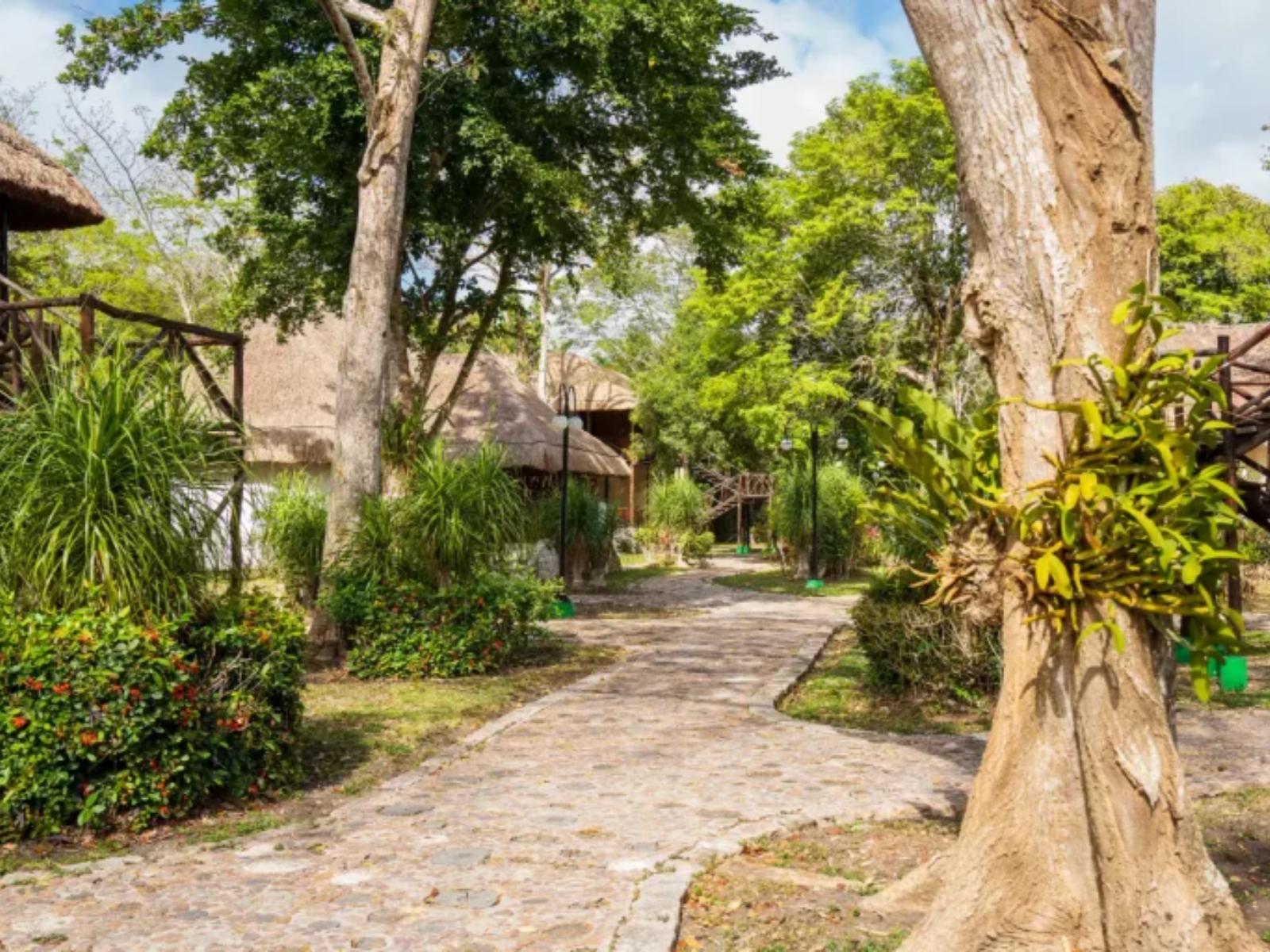 Rondreis Mexico, Xpujil, Villas Chicanna, pad op het terrein