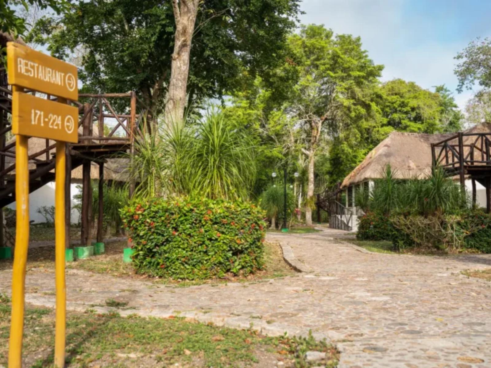 Rondreis Mexico, Xpujil, Villas Chicanna, pad