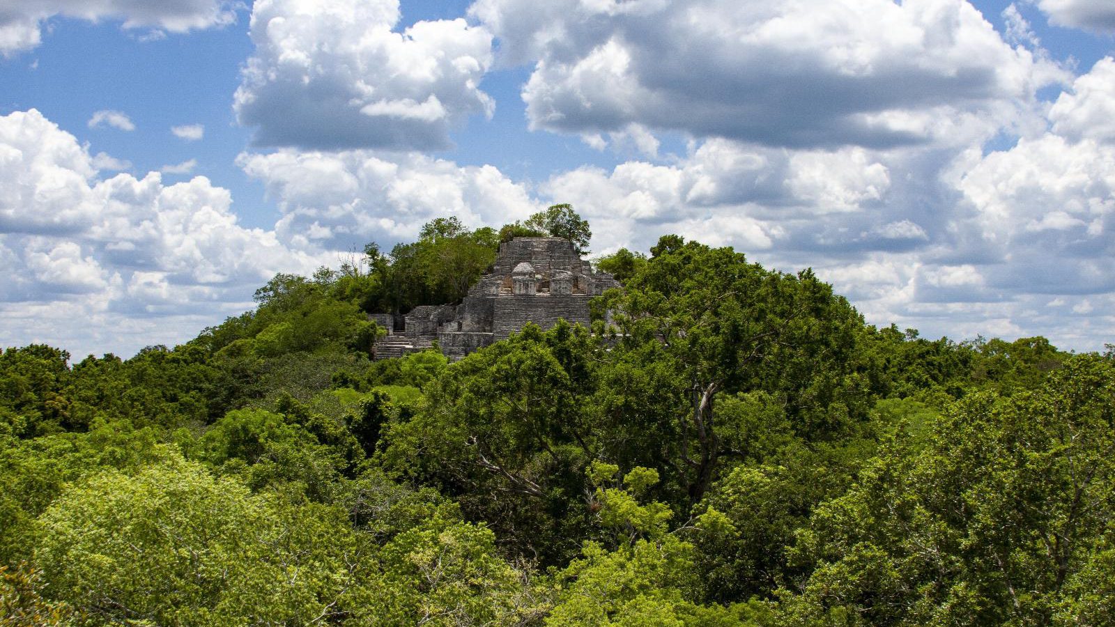 Rondreis Mexico, Xpujil, uitzicht op tempel Calakmul