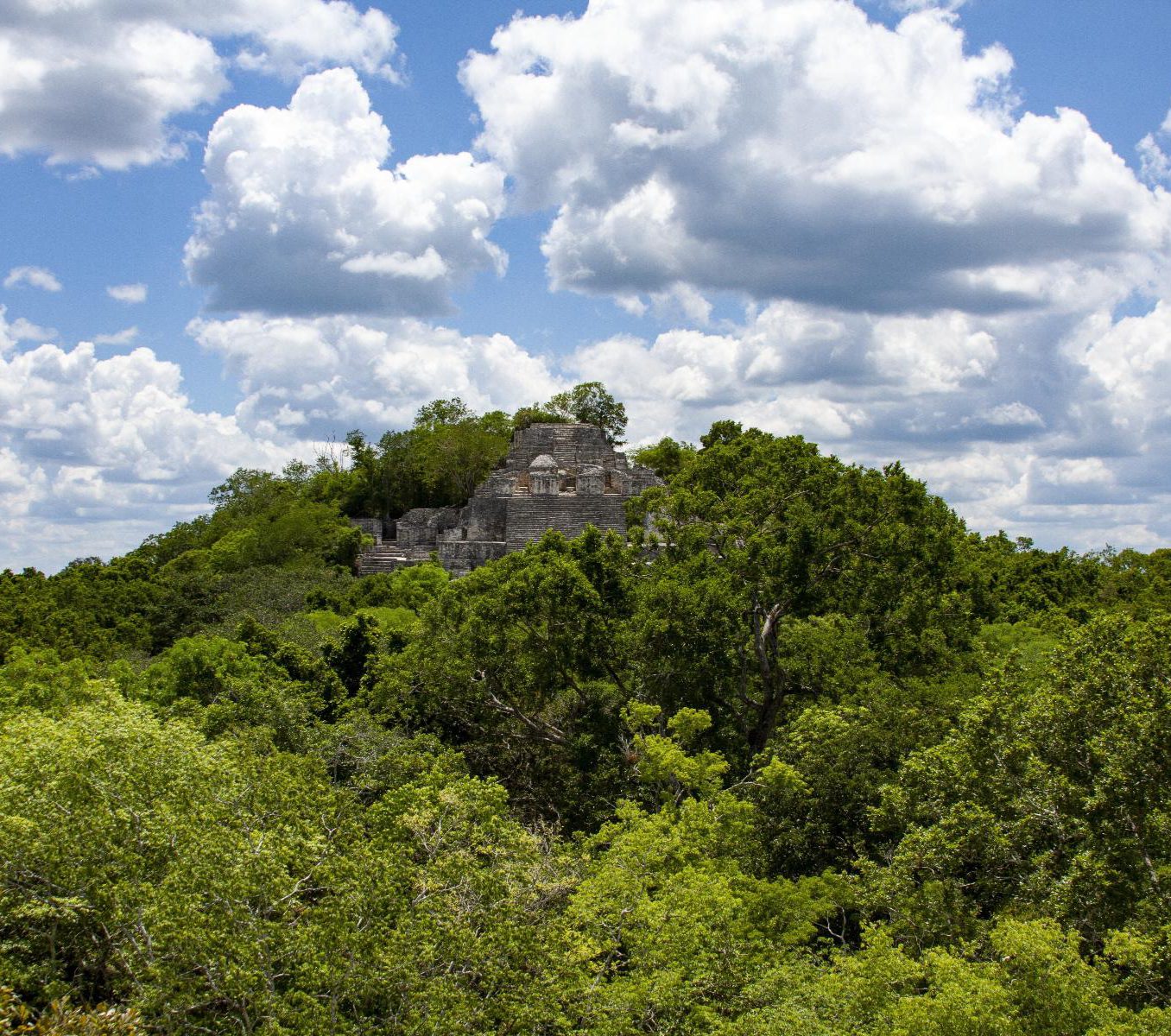 Rondreis Mexico, Xpujil, uitzicht op tempel Calakmul
