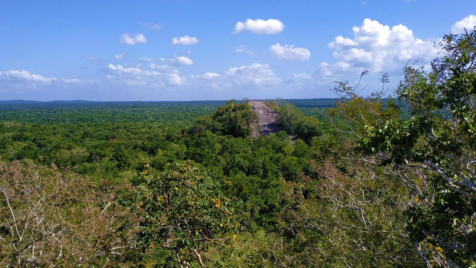 Rondreis Mexico, Xpujil, uitzicht op tempel Calakmul van veraf