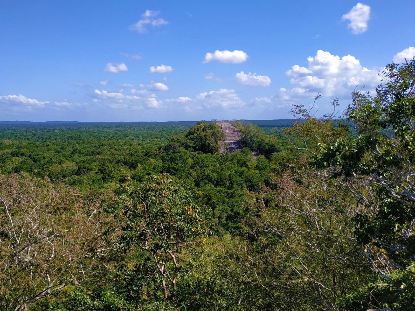 Rondreis Mexico, Xpujil, uitzicht op tempel Calakmul van veraf