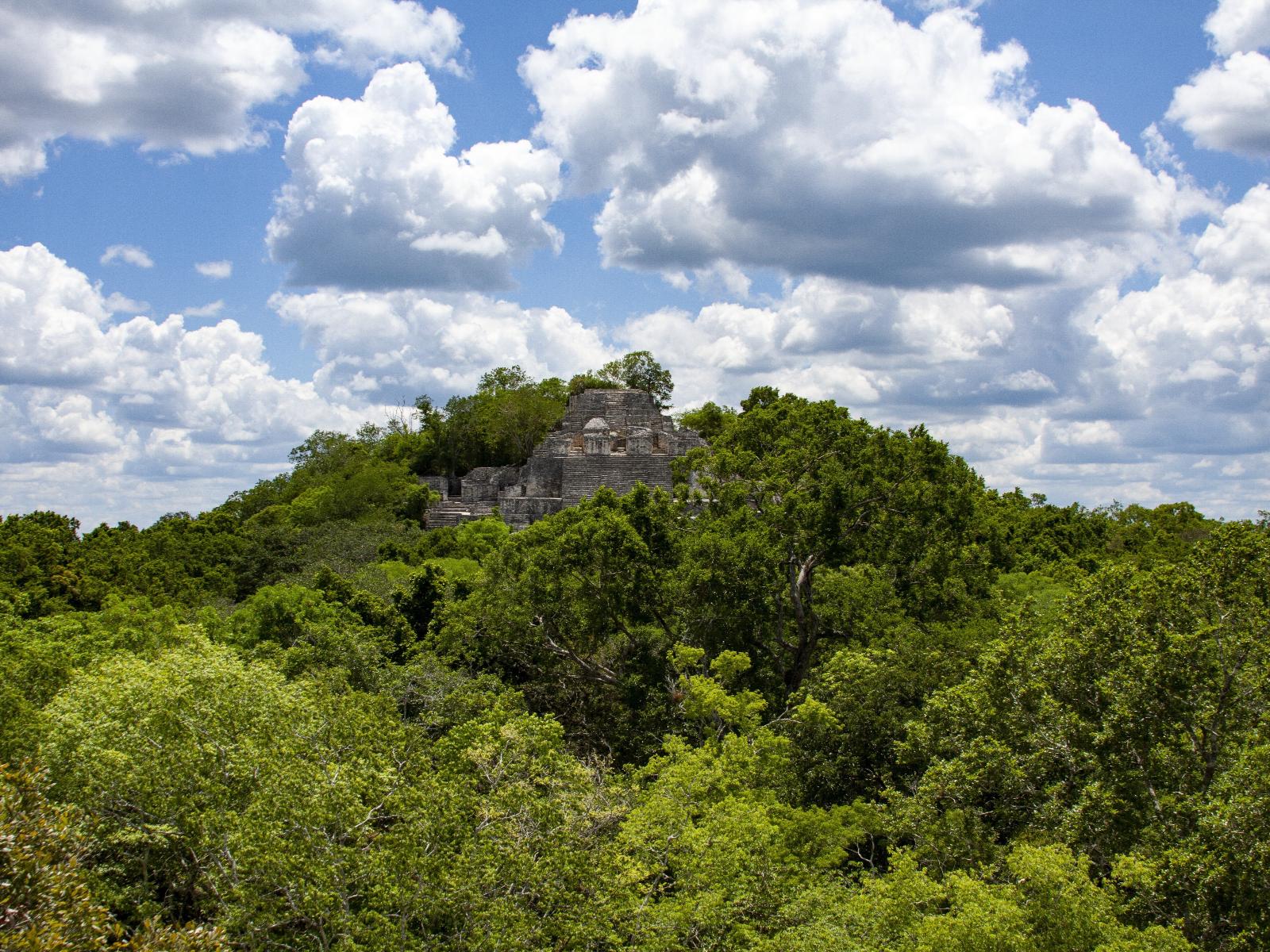 Rondreis Mexico, Xpujil, uitzicht op tempel Calakmul