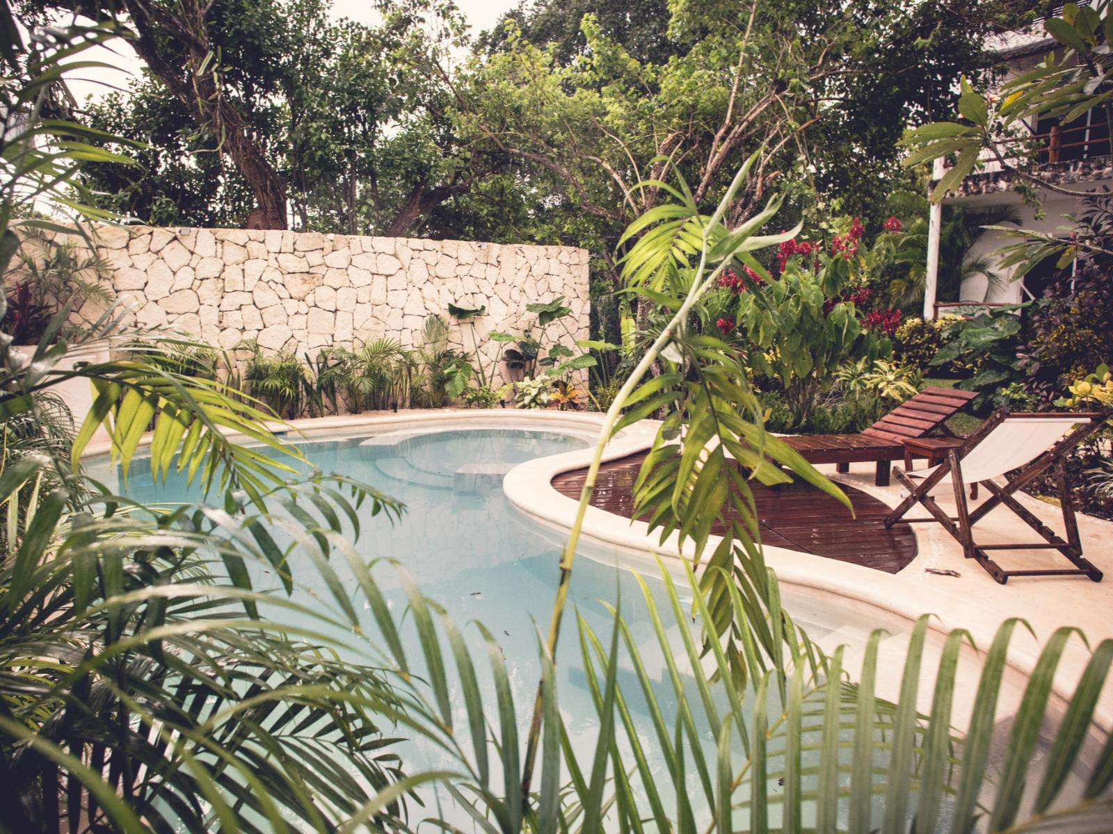 rondreis mexico - bacalar - aires bacalar hotel - zwembad