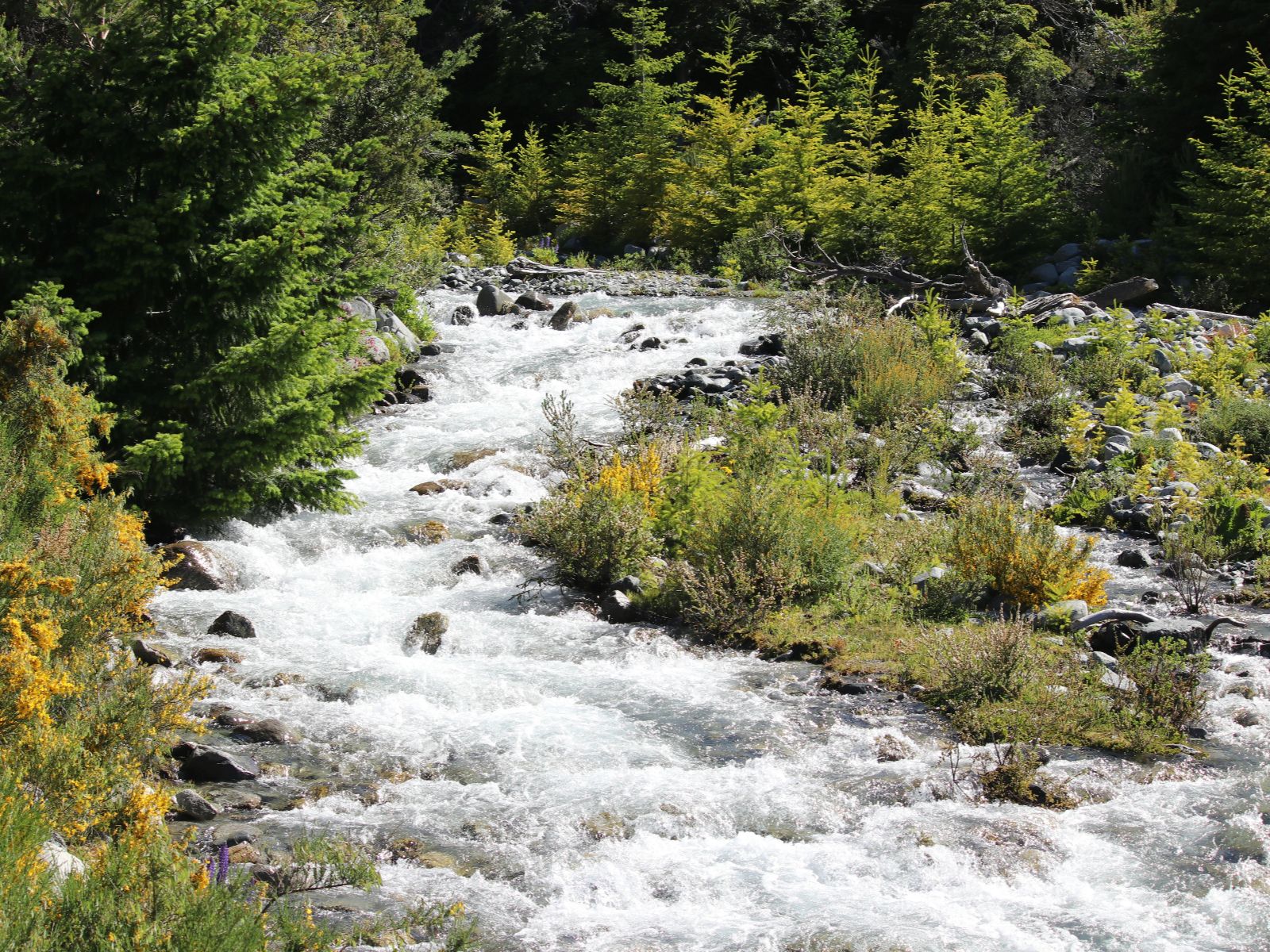 Rondreis Argentinië, Bariloche, excursie e-bike omgeving, rivier