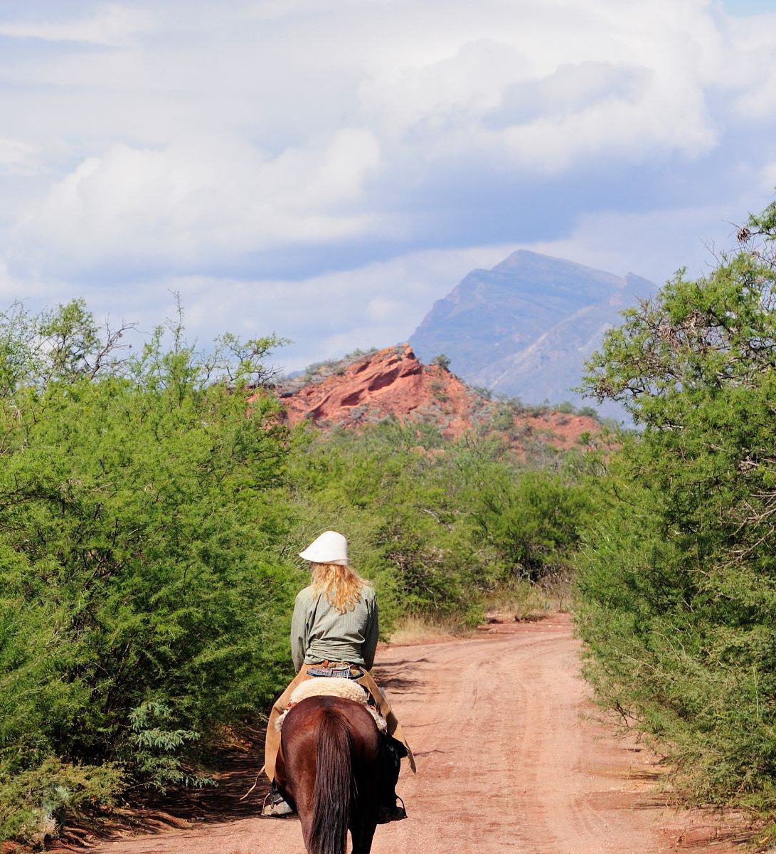 Rondreis Argentinië, Cafayate, excursie paardrijden door zandduinen Cafayate, vrouw te paard met hond
