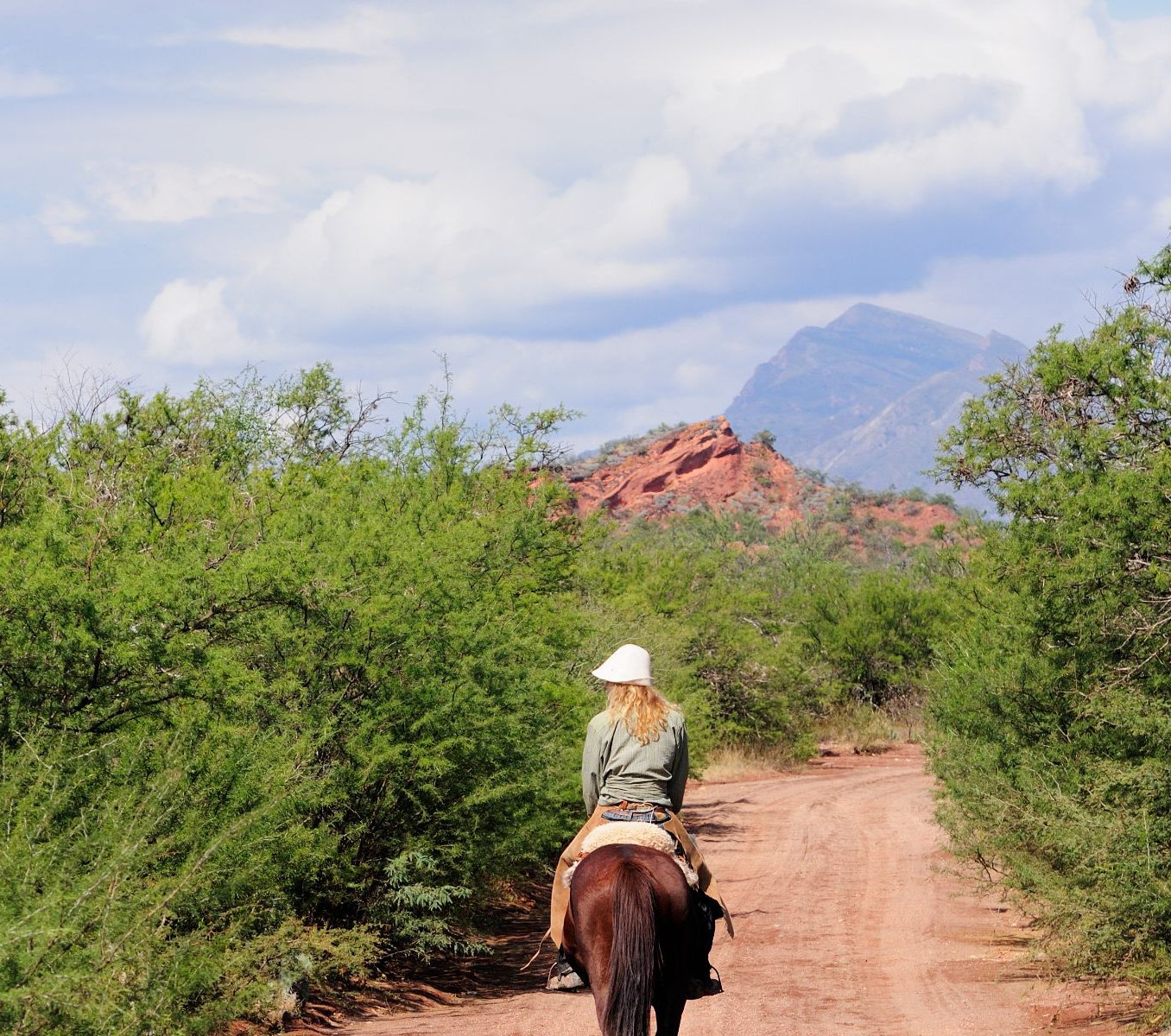 Rondreis Argentinië, Cafayate, excursie paardrijden door zandduinen Cafayate, vrouw te paard met hond