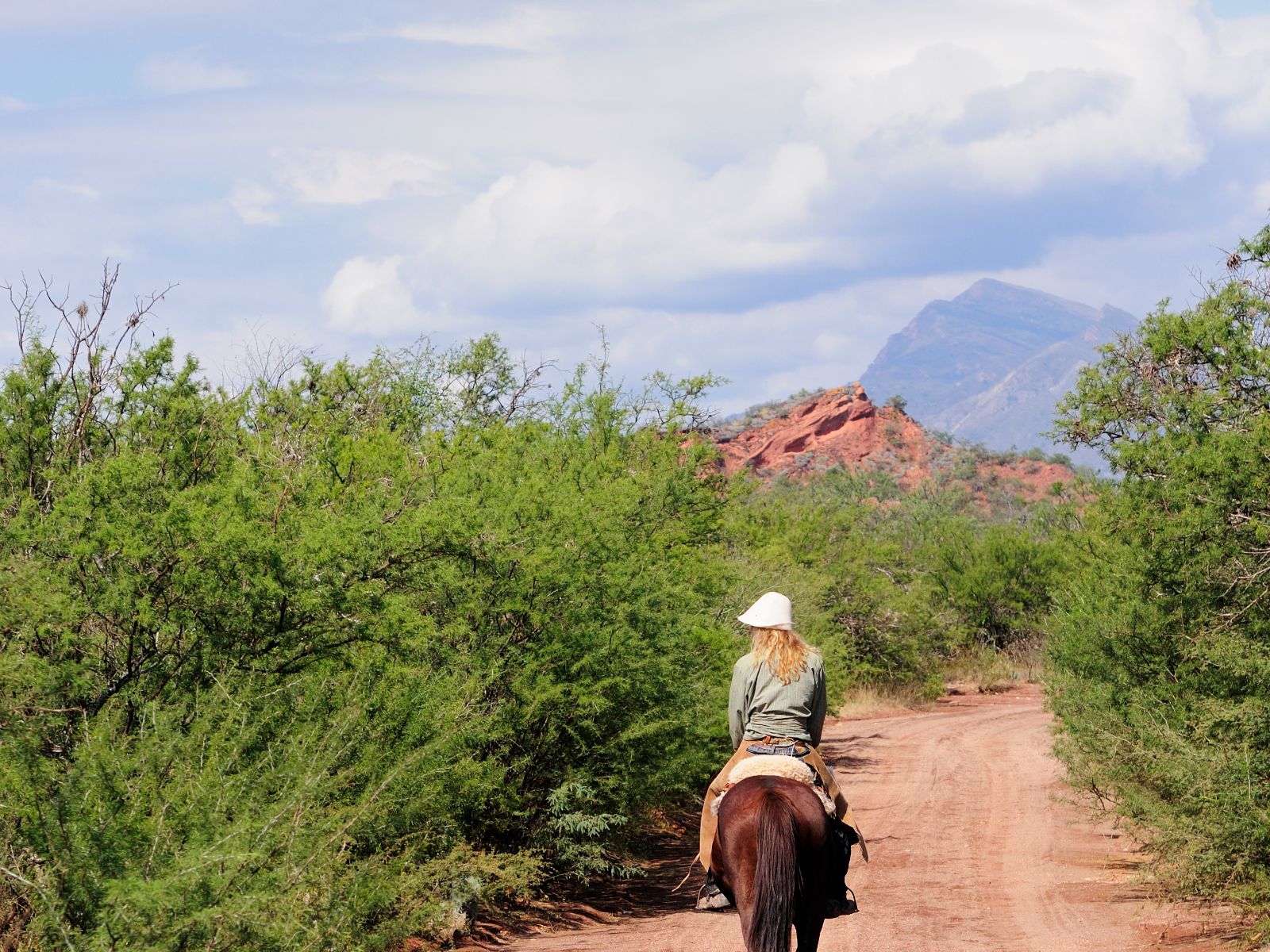 Rondreis Argentinië, Cafayate, excursie paardrijden door zandduinen Cafayate, vrouw te paard met hond