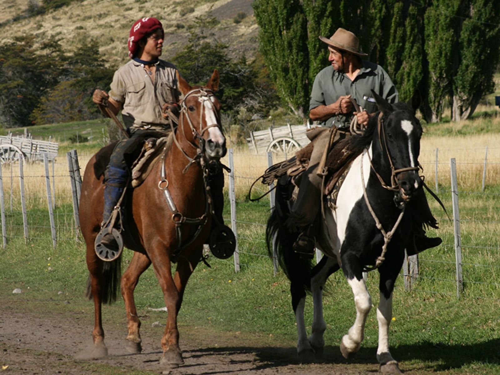 Rondreis Argentinië, El Calafate, excursie gaucho voor een dag, gaucho's te paard