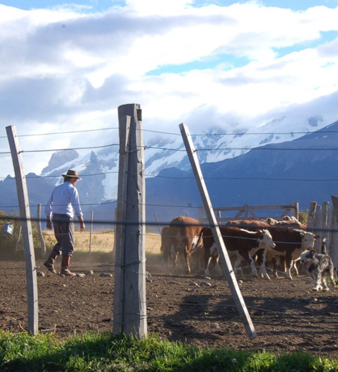 Rondreis Argentinië, El Calafate, excursie gaucho voor een dag, veedrijvers