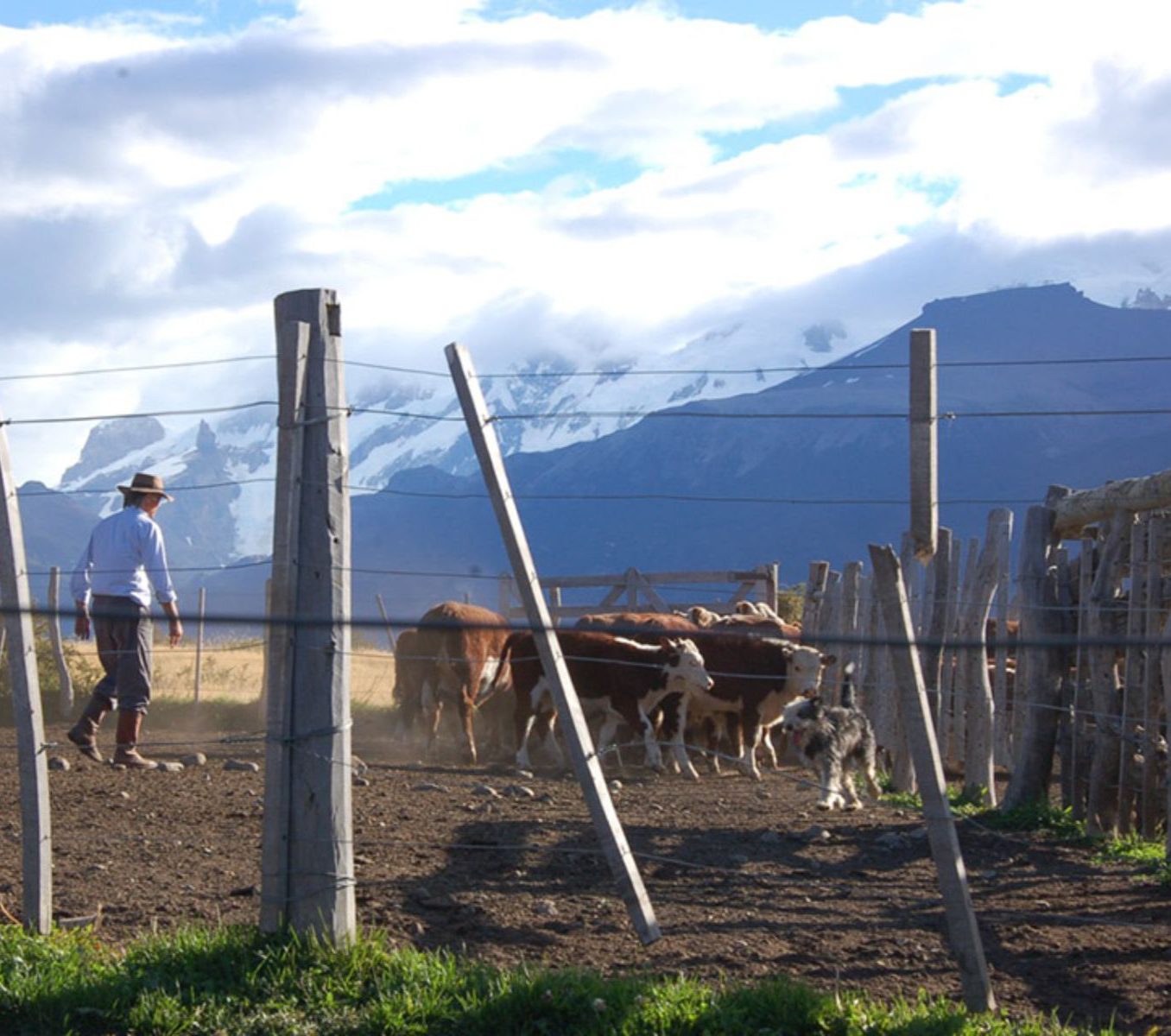 Rondreis Argentinië, El Calafate, excursie gaucho voor een dag, veedrijvers