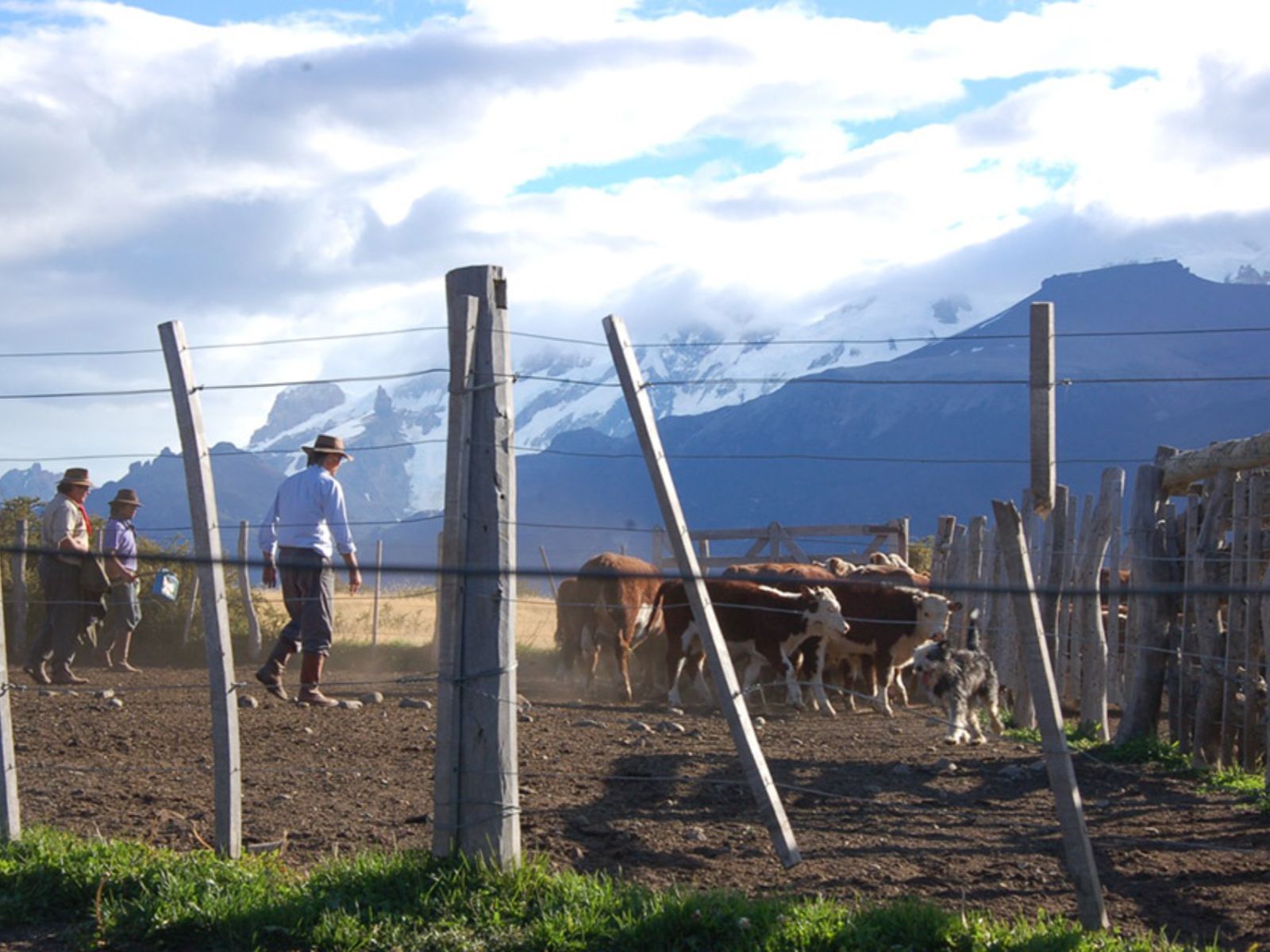 Rondreis Argentinië, El Calafate, excursie gaucho voor een dag, veedrijvers