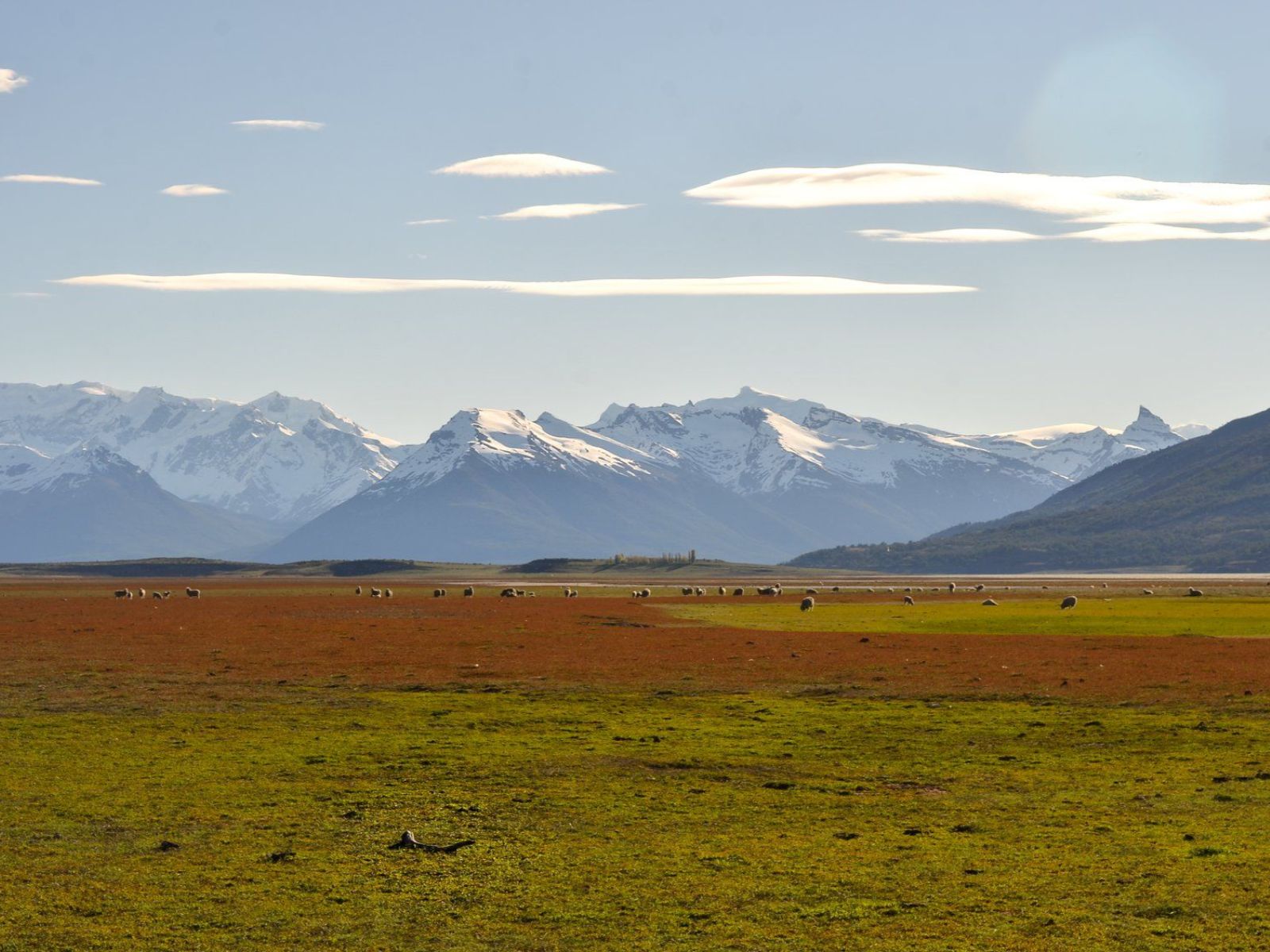 Rondreis Argentinië, El Calafate, excursie paardrijden Estancia Rio Mitre, landschap