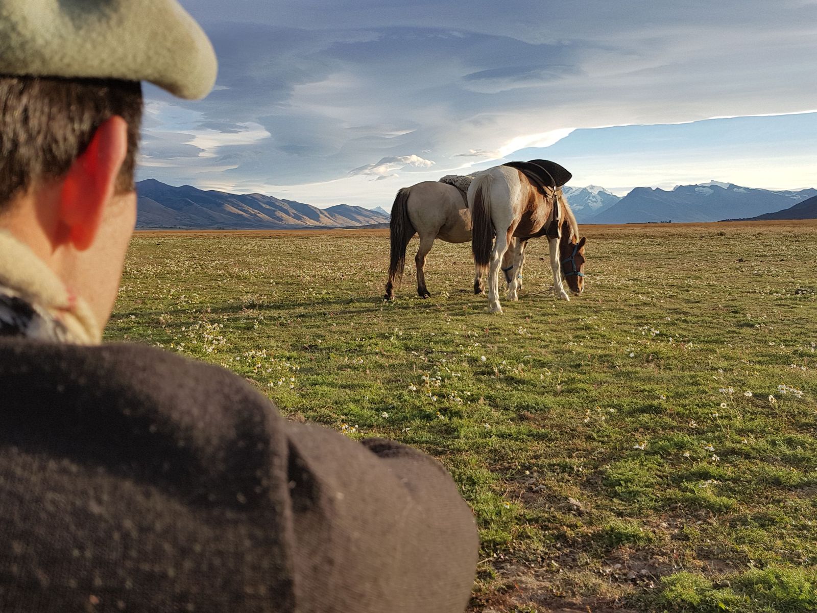 Rondreis Argentinië, El Calafate, excursie paardrijden Estancia Rio Mitre, twee grazende paarden