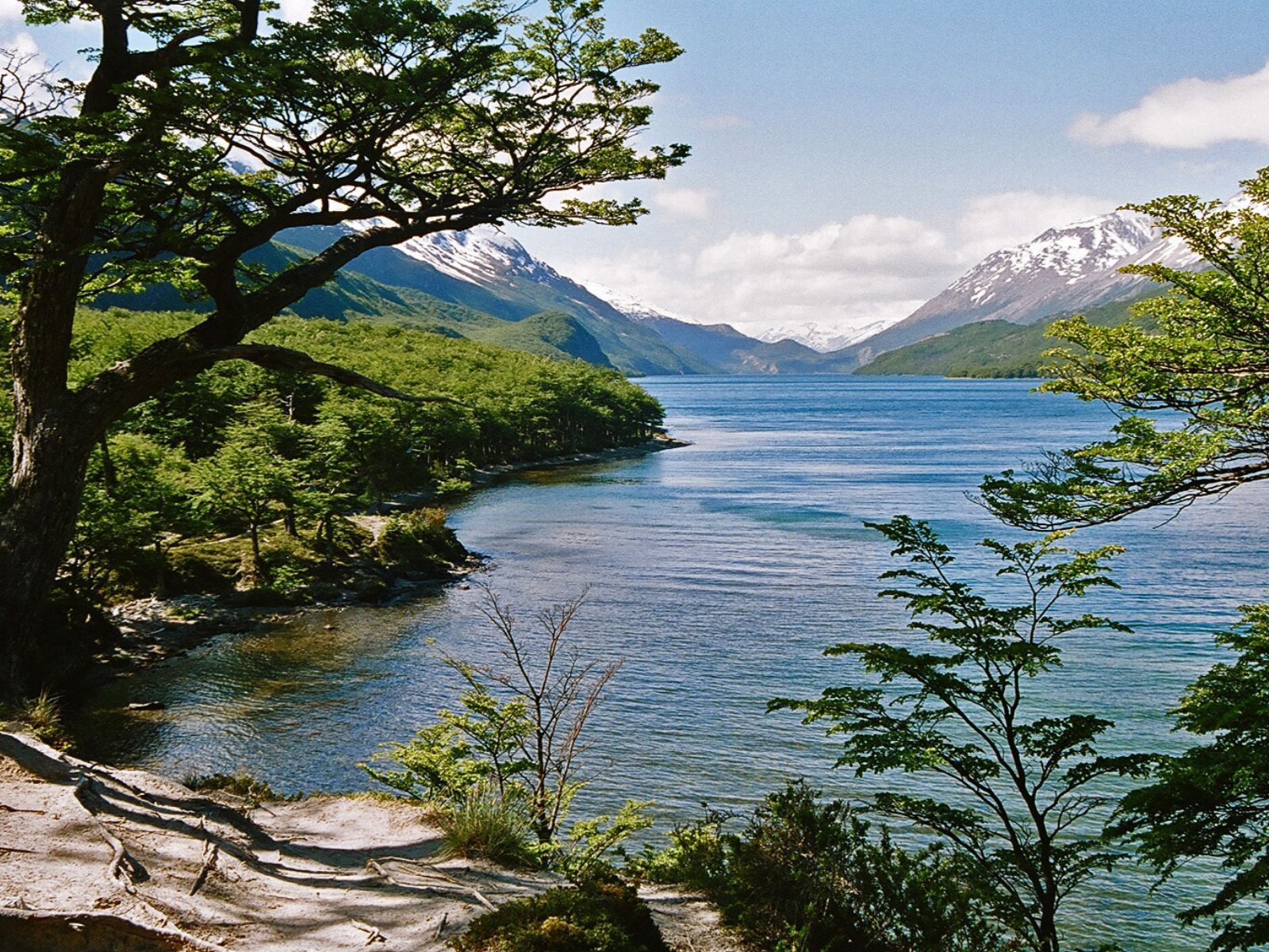 Rondreis Argentinië, El Chalten, excursie mountainbiken Patagonië, bomen aan het meer