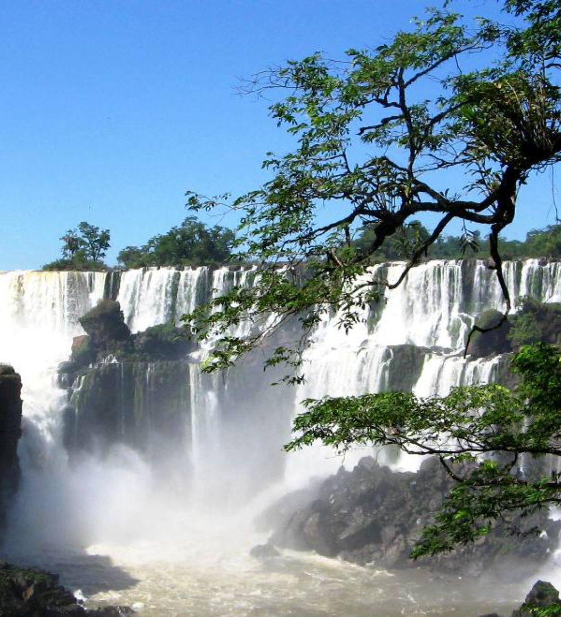 Rondreis Argentinië, Iguazu, excursie Braziliaanse zijde van de watervallen, watervallen met bomen op voorgrond