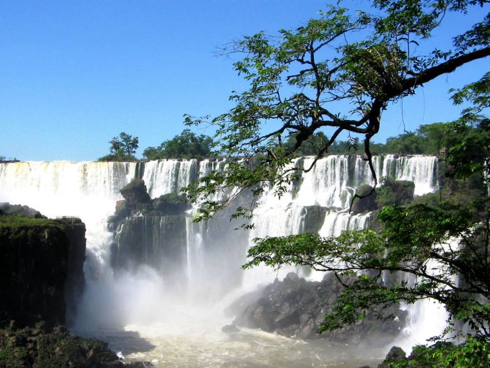Rondreis Argentinië, Iguazu, excursie Braziliaanse zijde van de watervallen, watervallen met bomen op voorgrond