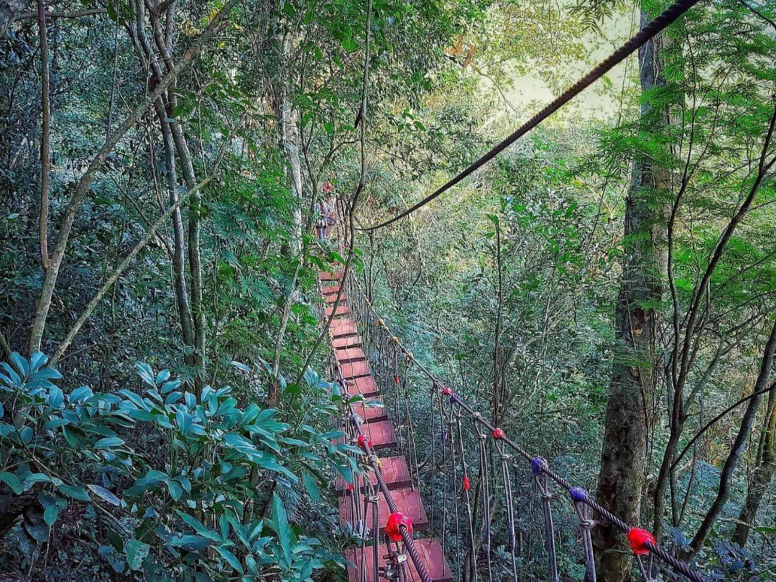 Rondreis Argentinië, Iguazu, excursie ziplinen en abseilen, hangbrug