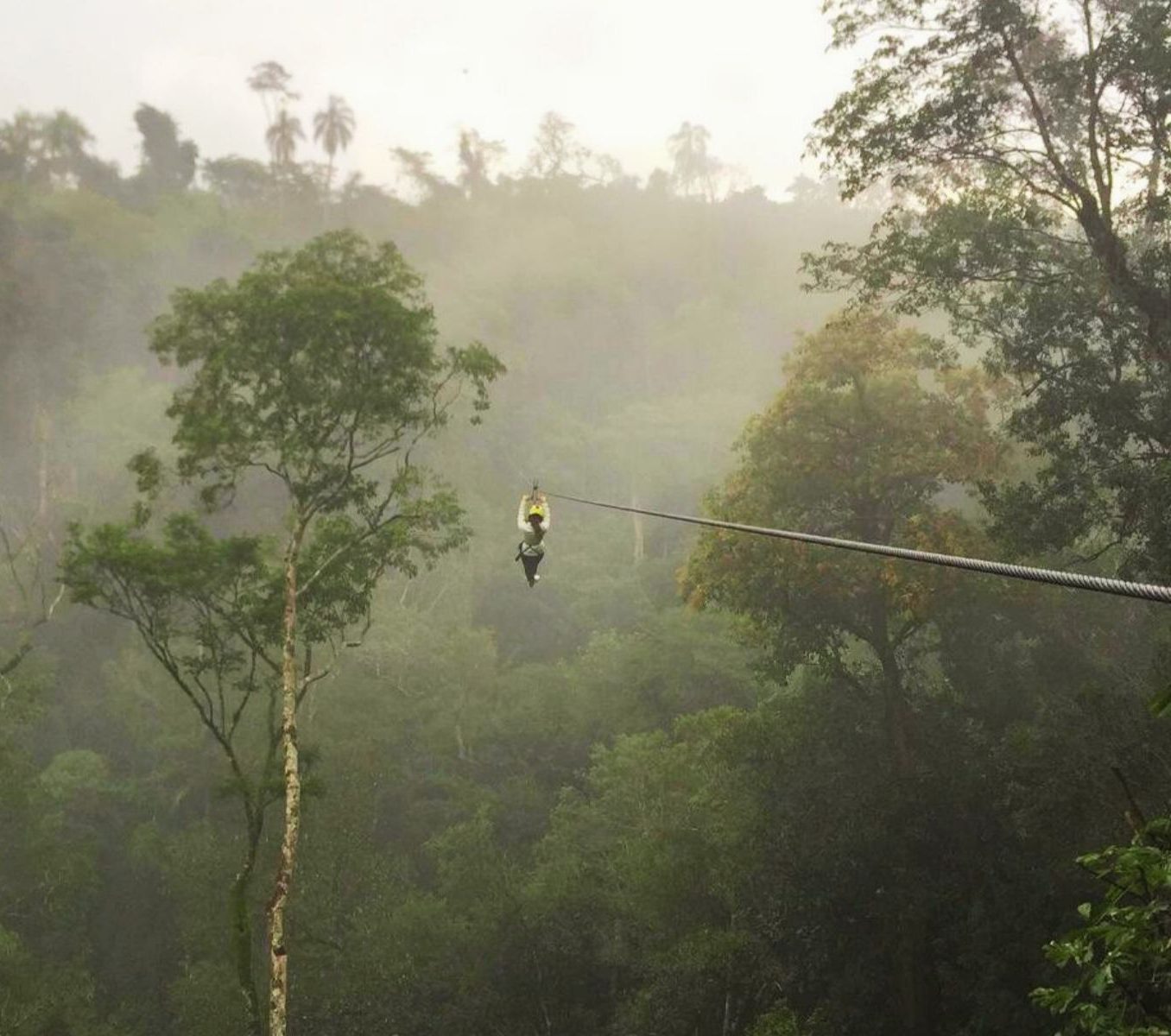 Rondreis Argentinië, Iguazu, excursie ziplinen en abseilen, ziplinen tussen boomtoppen met mist