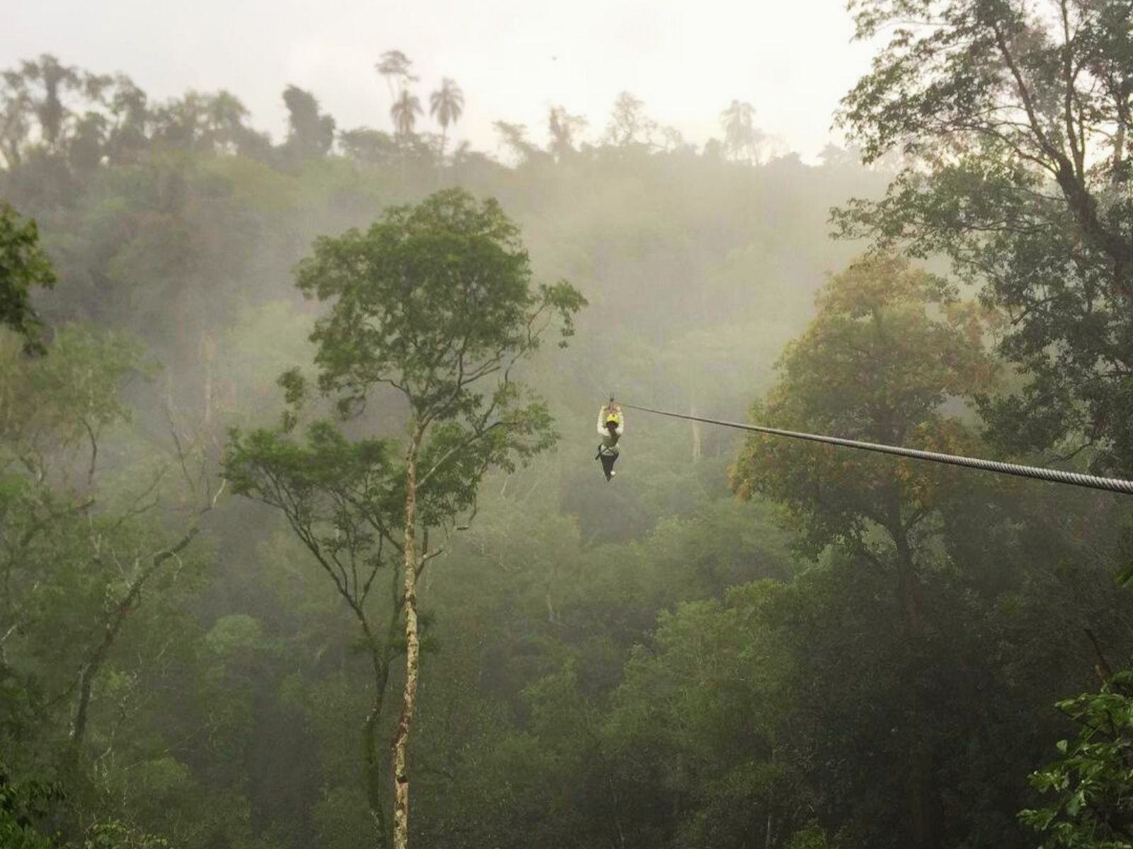 Rondreis Argentinië, Iguazu, excursie ziplinen en abseilen, ziplinen tussen boomtoppen met mist