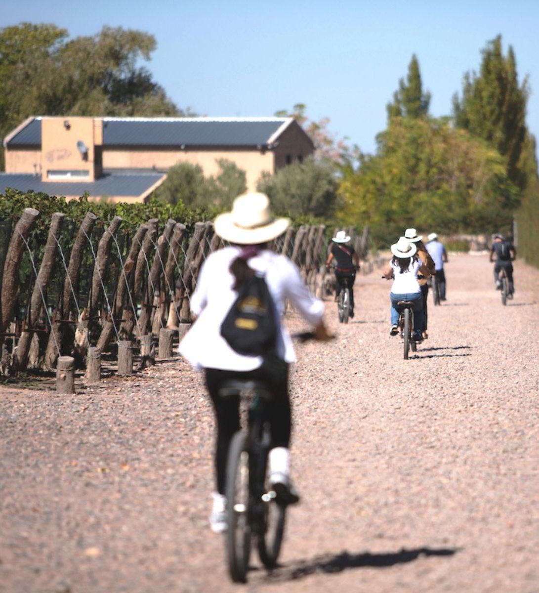 Rondreis Argentinië, Mendoza, excursie fietstocht door wijngaarden, fietsers