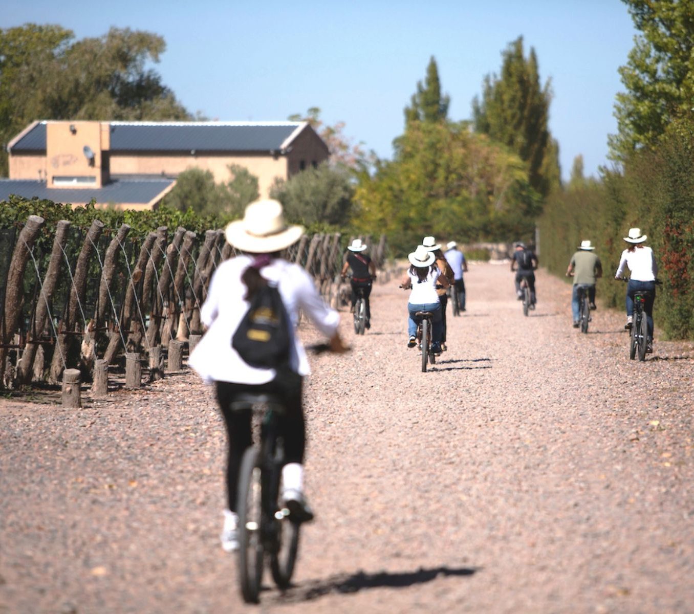 Rondreis Argentinië, Mendoza, excursie fietstocht door wijngaarden, fietsers
