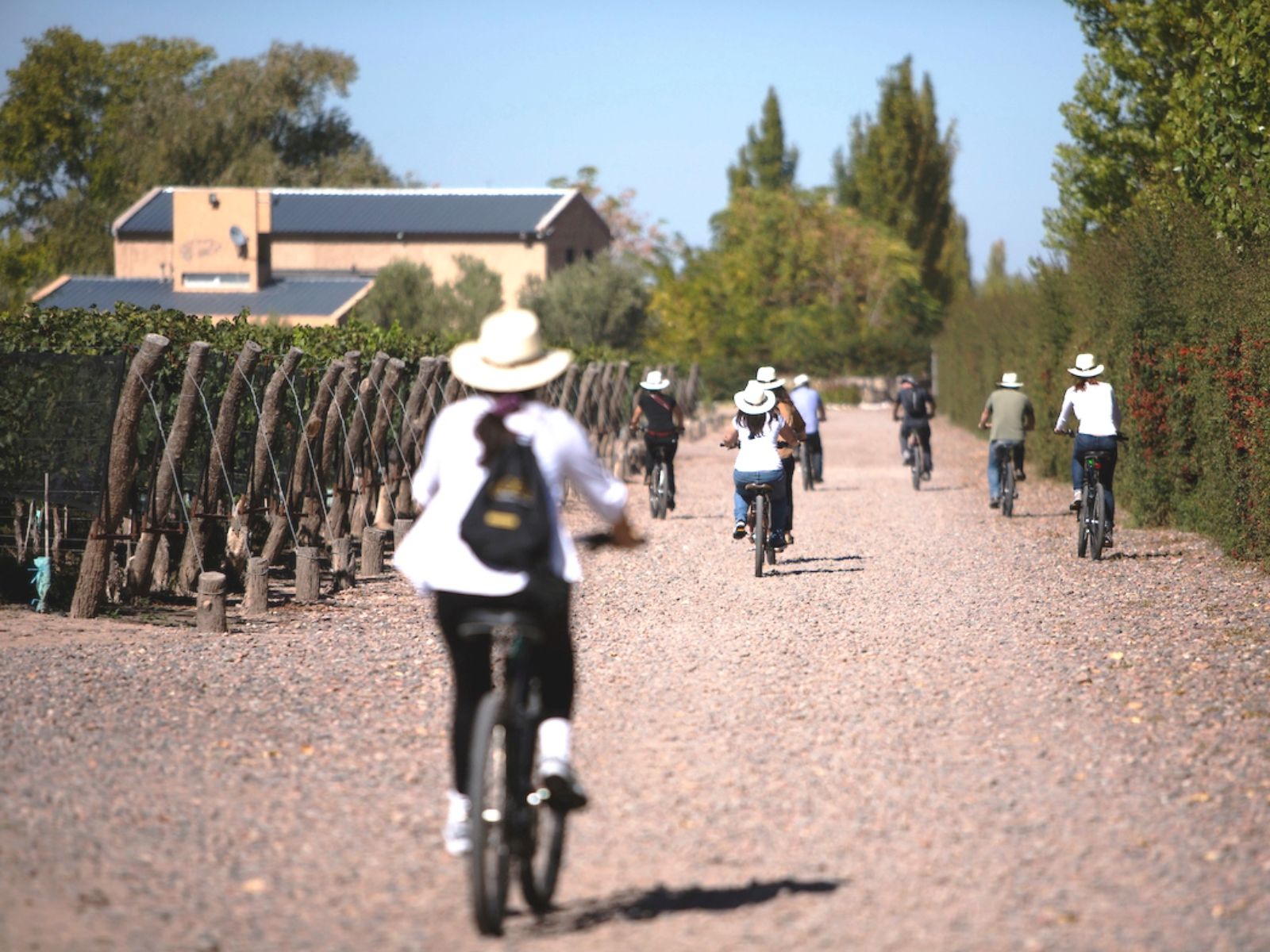 Rondreis Argentinië, Mendoza, excursie fietstocht door wijngaarden, fietsers