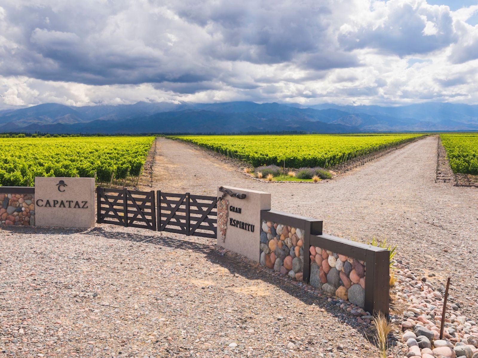Rondreis Argentinië, Mendoza, excursie fietstocht door wijngaarden, wijngaarden met wegen