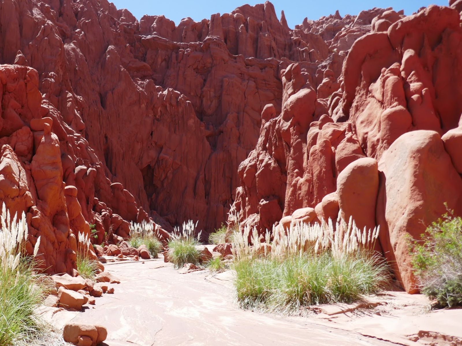 Rondreis Argentinië, Salta, excursie hiken naar Cueva de Acsibi, toegang tot grotten
