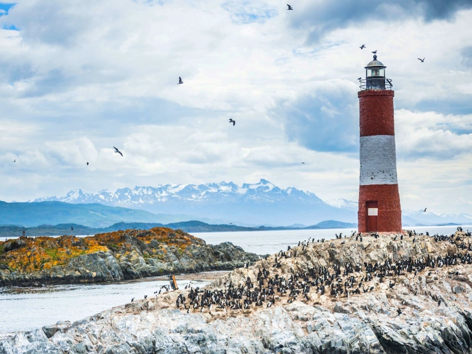 Rondreis Argentinië, Ushuaia, excursie boottocht Beagle, pinguin eiland