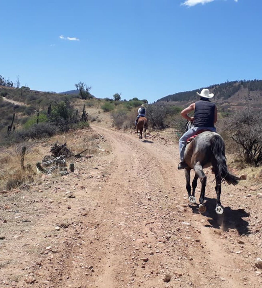 Rondreis Bolivia, Sucre, excursie te paard door de bergen rond Sucre, twee mensen paardrijden achteraanzicht met blauwe lucht
