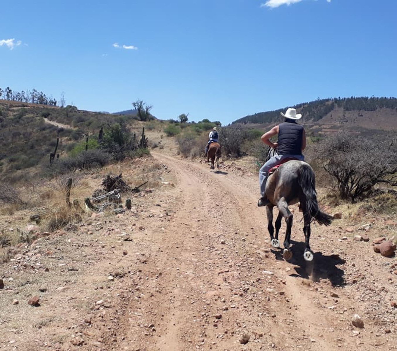 Rondreis Bolivia, Sucre, excursie te paard door de bergen rond Sucre, twee mensen paardrijden achteraanzicht met blauwe lucht