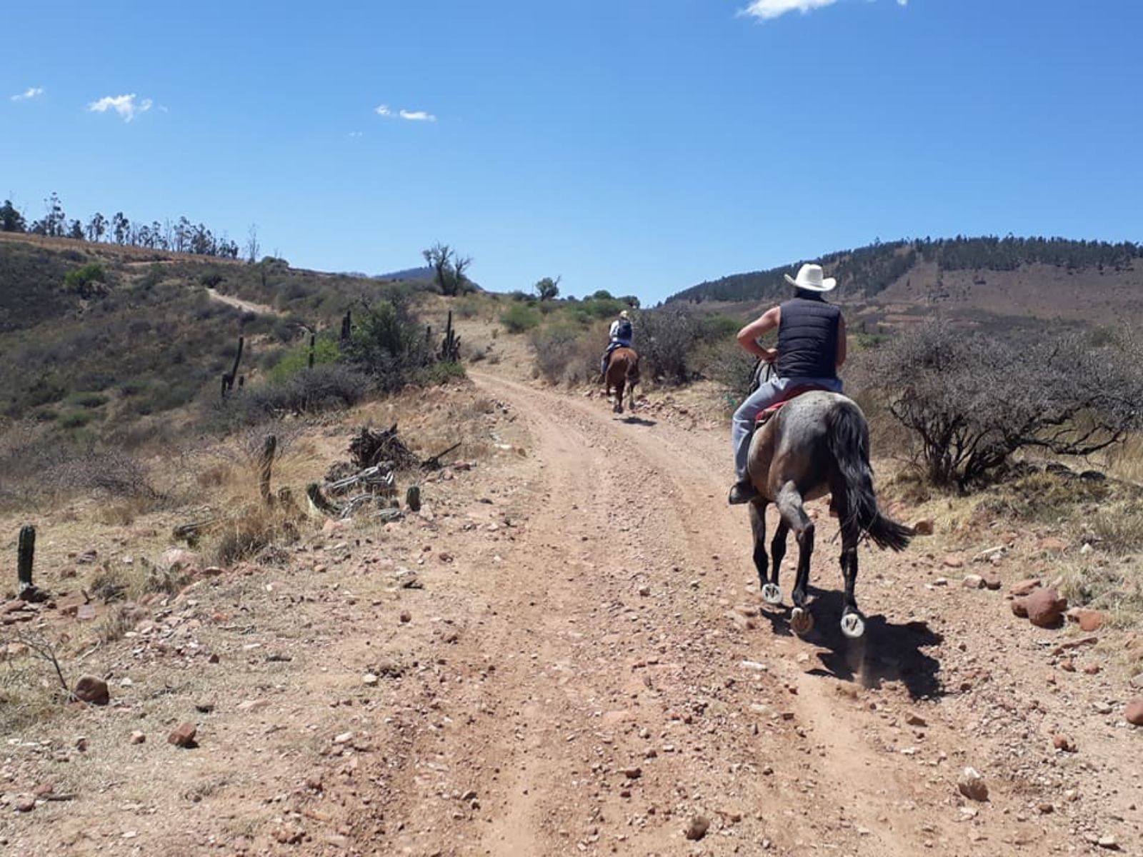 Rondreis Bolivia, Sucre, excursie te paard door de bergen rond Sucre, twee mensen paardrijden achteraanzicht met blauwe lucht