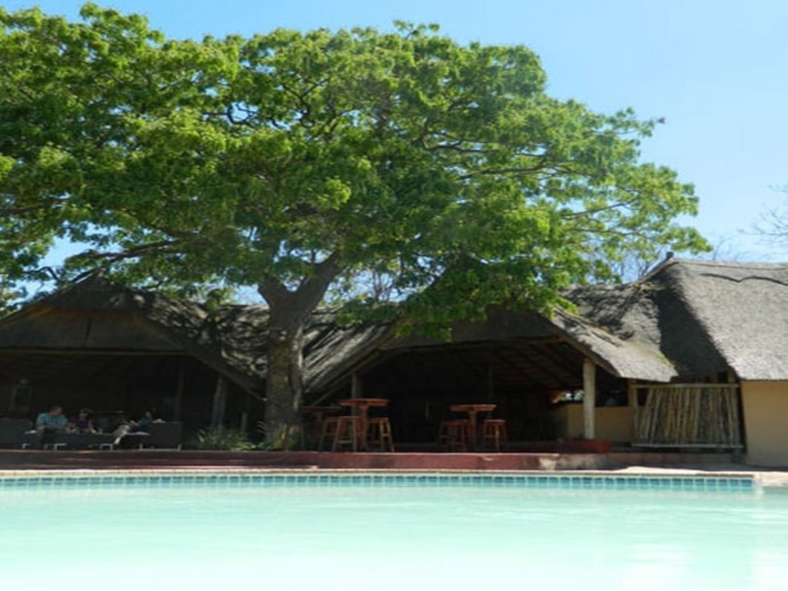 Rondreis Botswana, Kasane, Kwalape Safari Lodge, zwembad