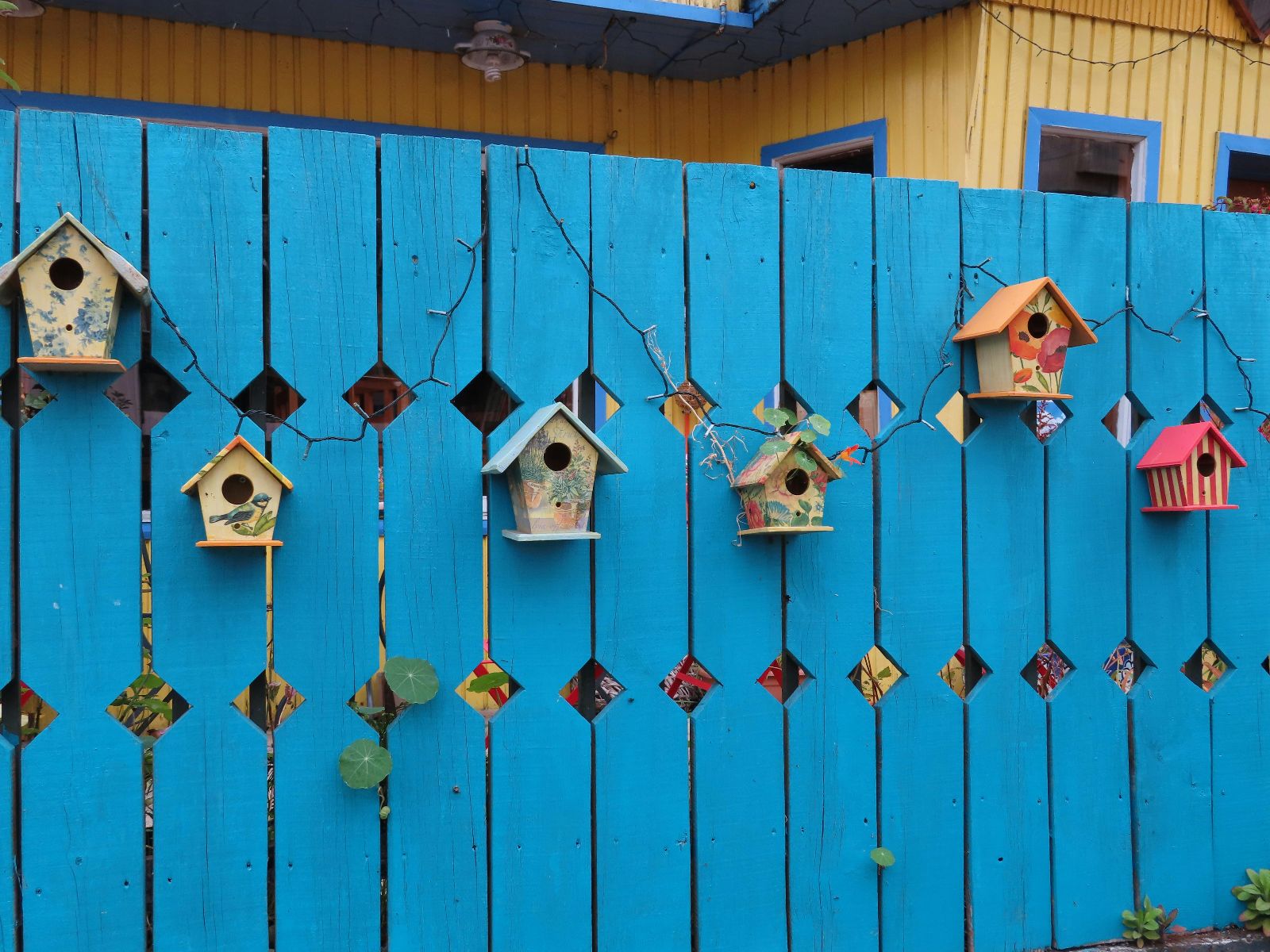 Rondreis Chili, Puerto Varas, excursie magische eiland Chiloé, boot op het water, vogelhuisjes