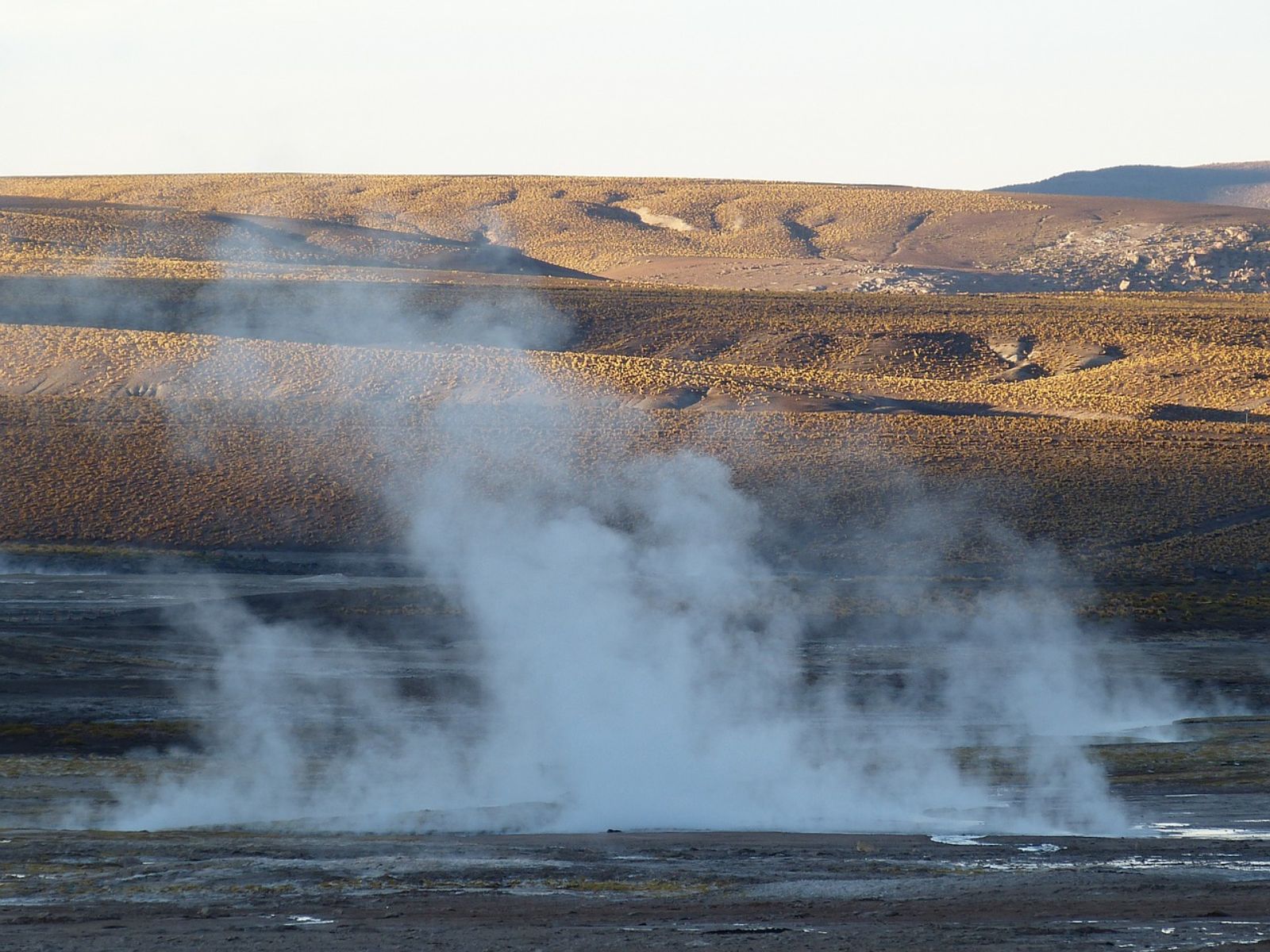 Rondreis Chili, San Pedro de Atacama, excursie stoom en zonsopgang bij Tatio geisers, heuvel met stoom