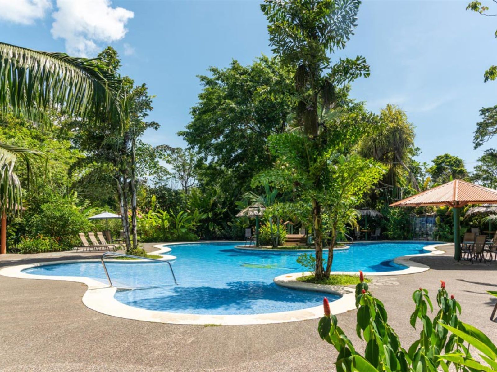 Rondreis Costa Rica, Tortuguero, Laguna Lodge, buitenzwembad met planten en bomen