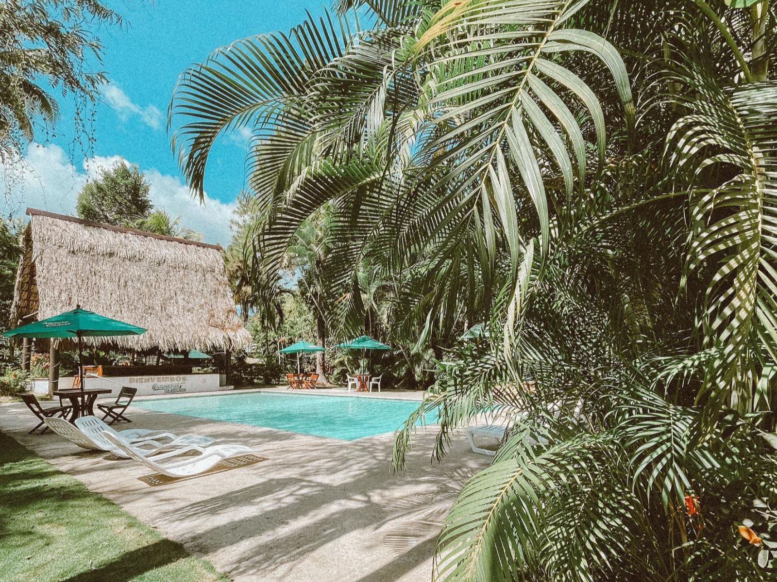 Rondreis Guatemala, Rio Dulce, Hotel Catamaran, zwembad met planten omgeving