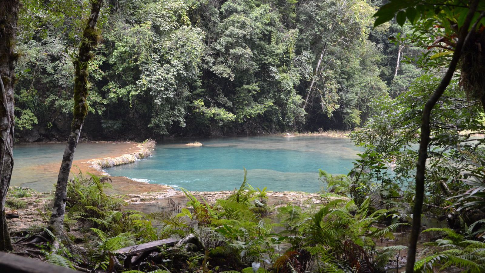 Rondreis Guatemala, Semuc Champey, rivier door de bomen