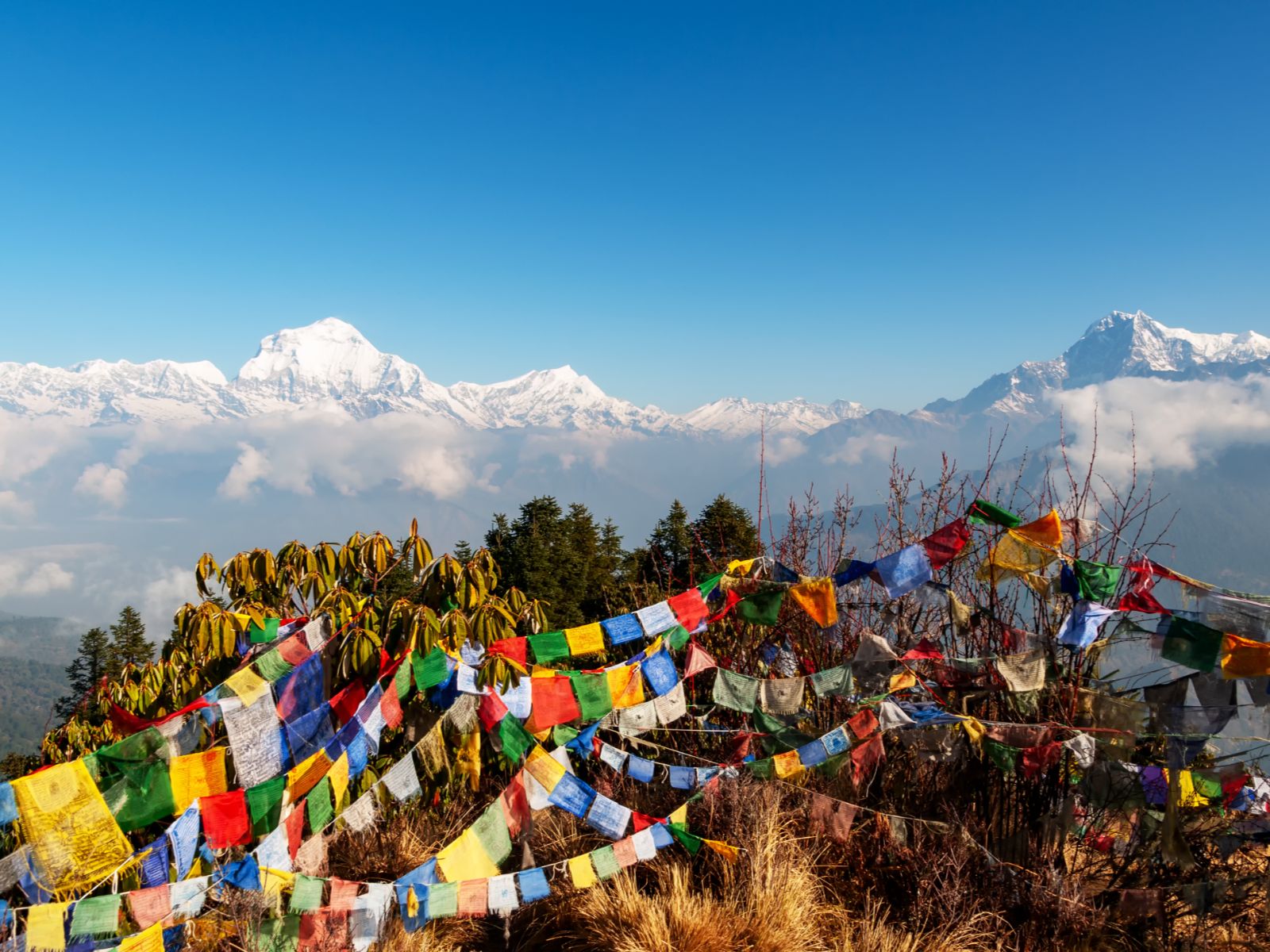Rondreis Nepal, Annapurna regio, uitzicht vanaf Poon Hill met gebedsvlaggetjes